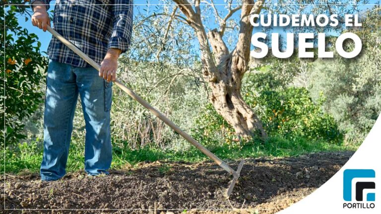 La Importancia de cuidar el suelo